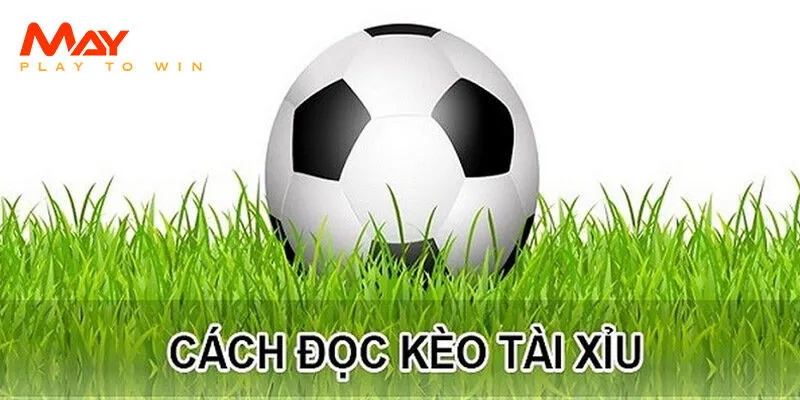 Hướng dẫn cách đọc kèo tài xỉu toàn diện nhất